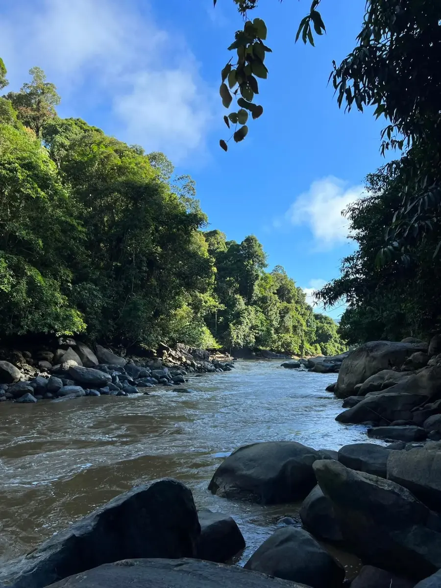 Sungai berbatu di pedalaman Sarawak, hutan hujan di kedua-dua tebing